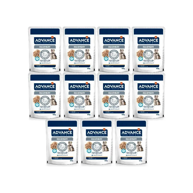 Advance Nassfutter für Haustiere, mit Nassfutter, Einzelportionen, 11 x 100 g