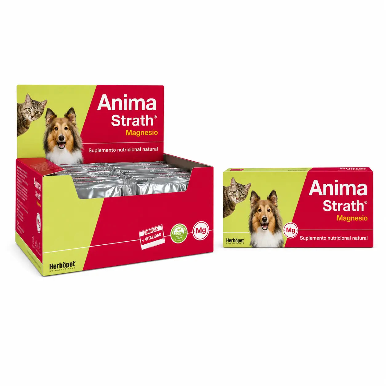 Anima Strath Magnesium 40 Tabletten