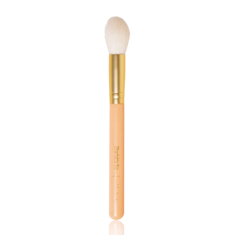 Charlotte Bio As "Healthy Glow" Pinsel