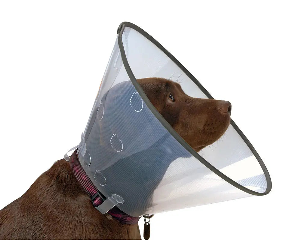 Elizabethan Comfort Collar 12,5, 5pcs