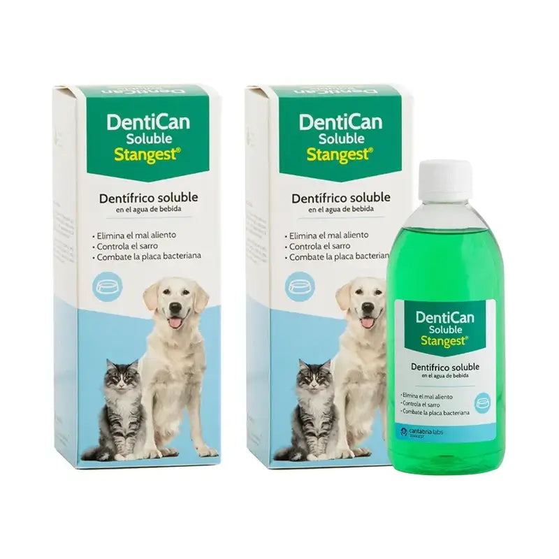 Dentican Stangest Löslich, 2X500 Ml