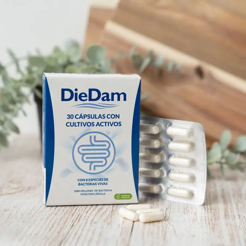 Diedam Probiotikum in magensaftresistenten Kapseln - Lactobacillus, Bifidobakterien und Inulin