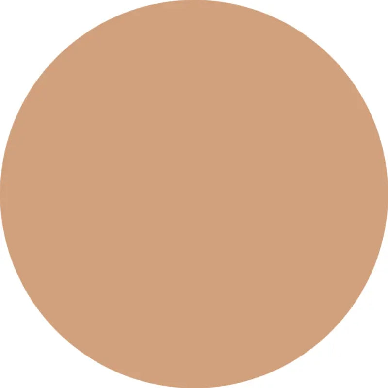 Essence Silky Cushion Foundation 170, 12 g