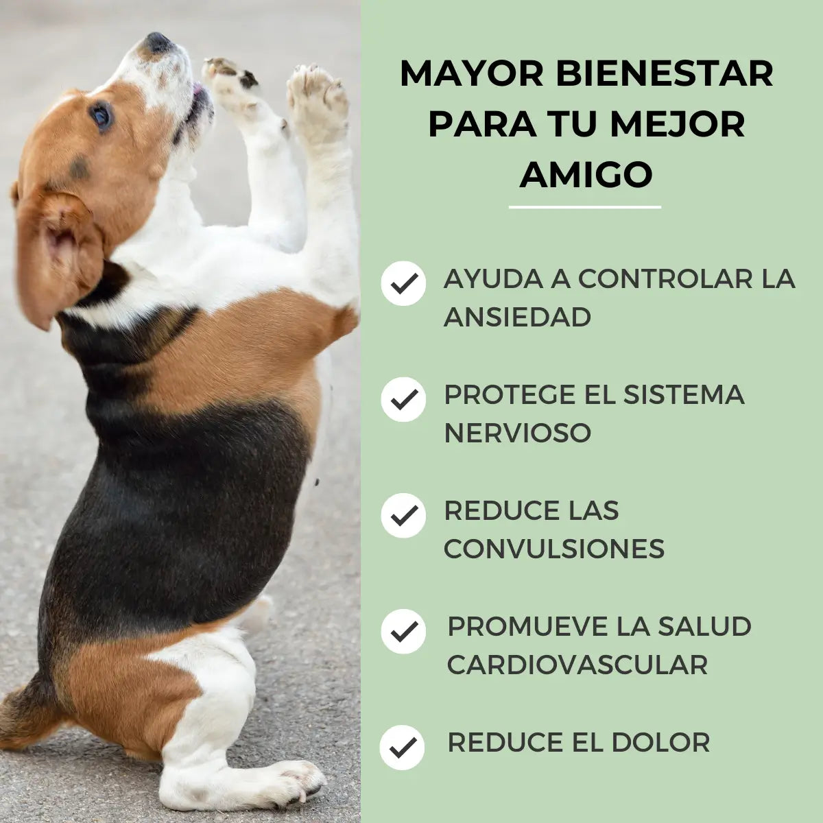 Feel Cocoa Cbd Oil 5% für Hunde und Katzen, 10 ml