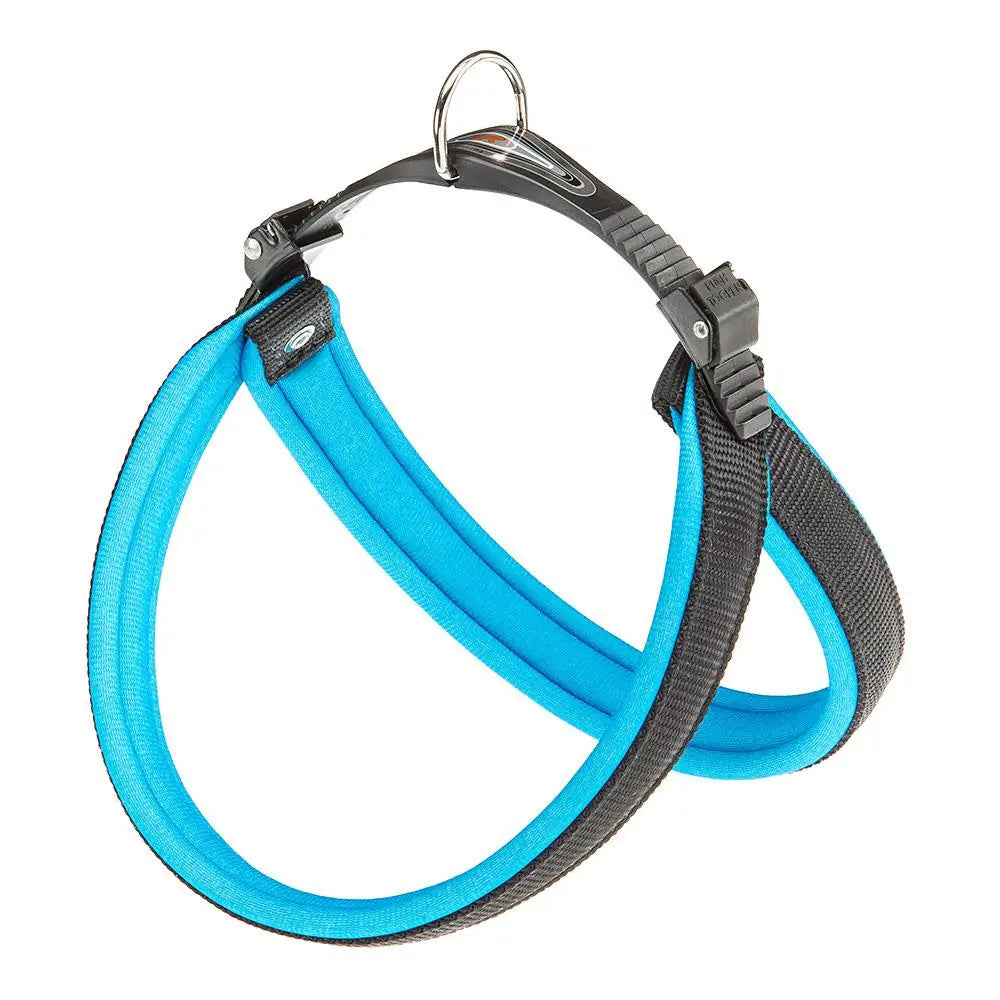 Ferplast Arnes Agila Fluo 5 Azul