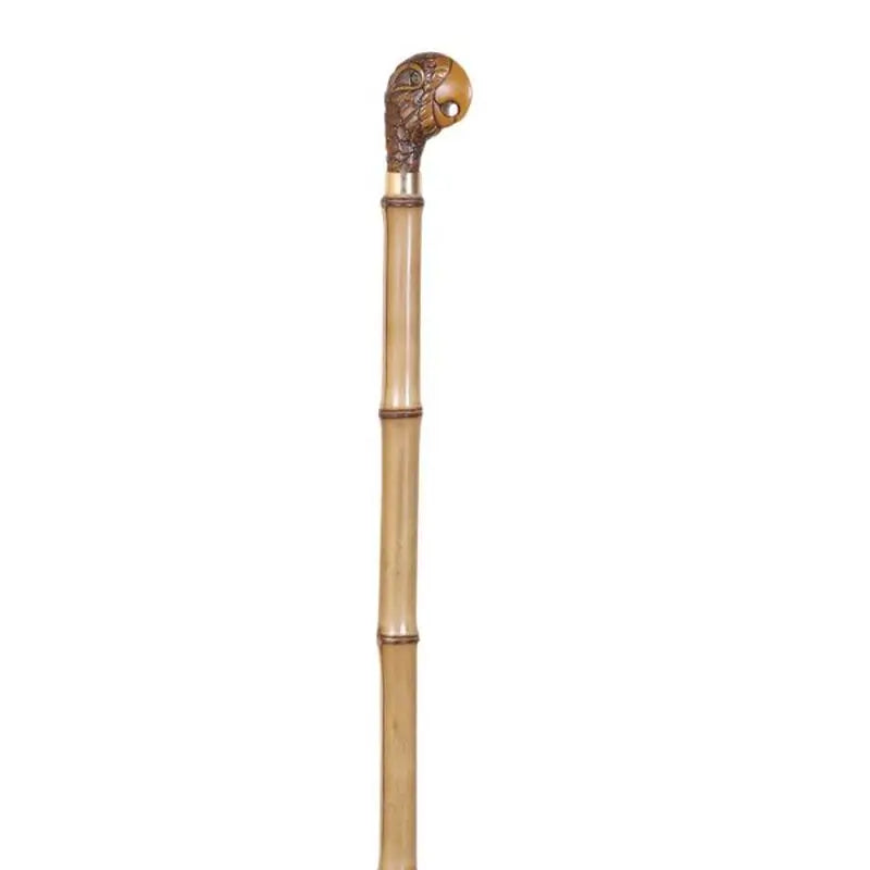 García 1880 Gehstock Kollektion Bambu Papageienfaust