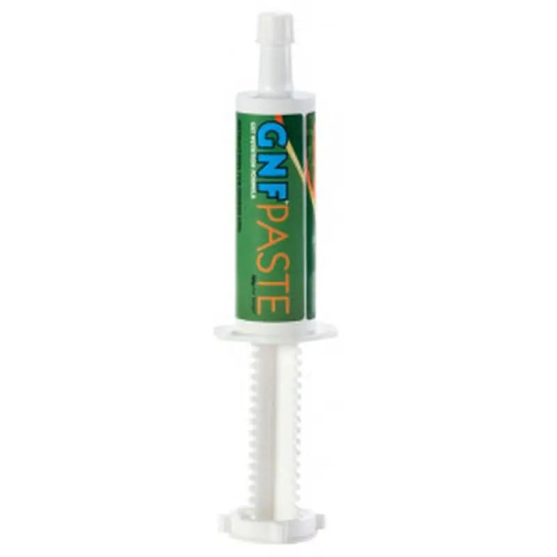 Gnf Paste 80Gr X 1 Syringe