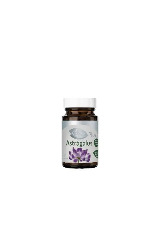 Granero S Astragalus 625 Mg, 60 Comprimidos