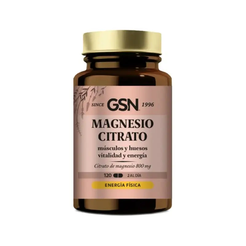 Gsn Magnesiumcitrat 400 , 120 Tabletten