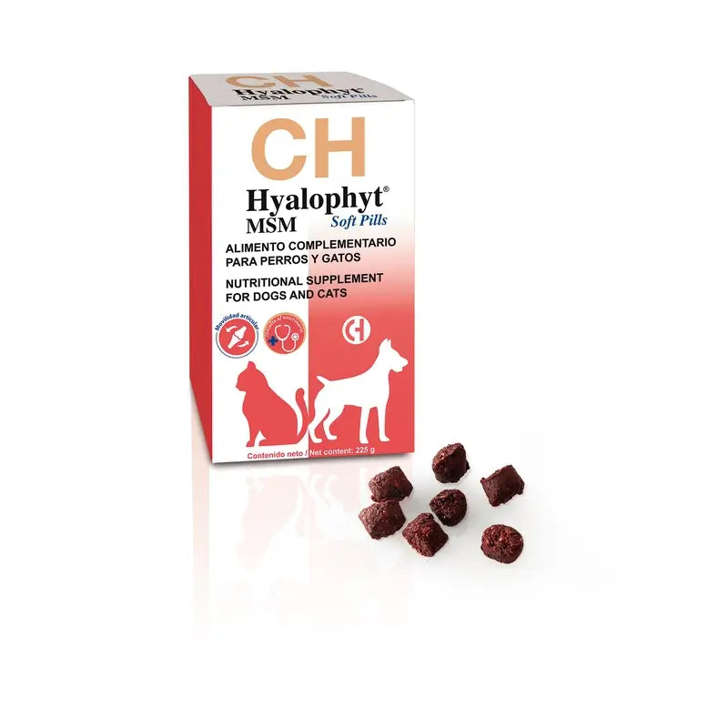 Chemical Hyalophyt MSM Soft-Kapseln, 225 g