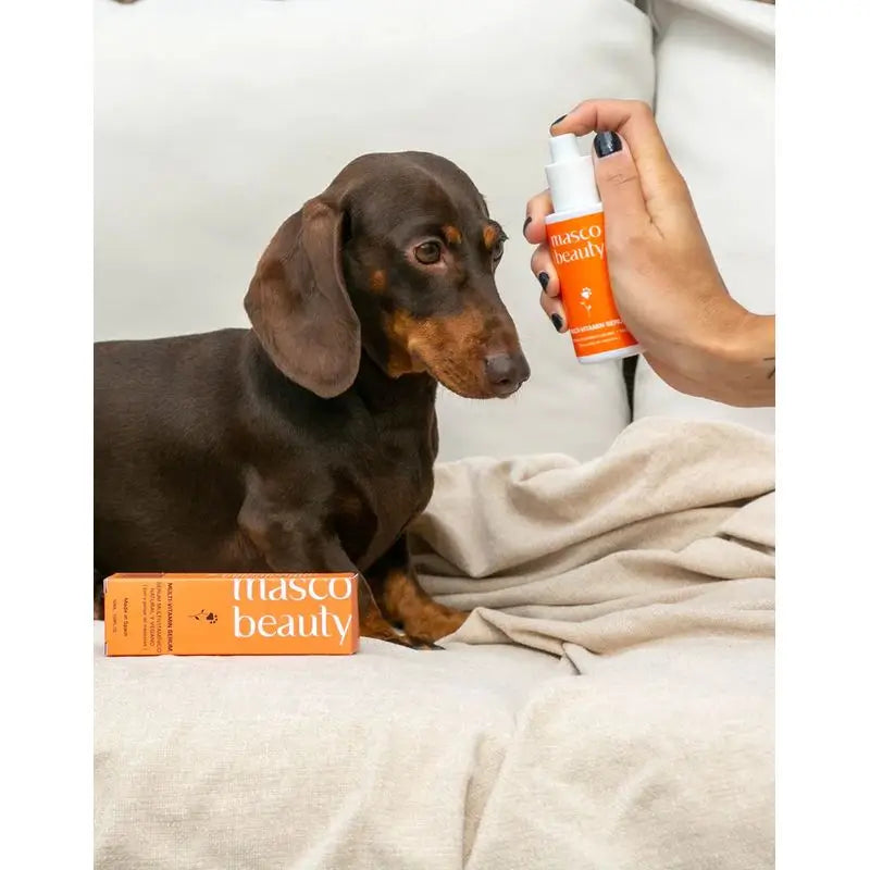 Masco Beauty Multivitamin-Serum für Hunde, 50ml