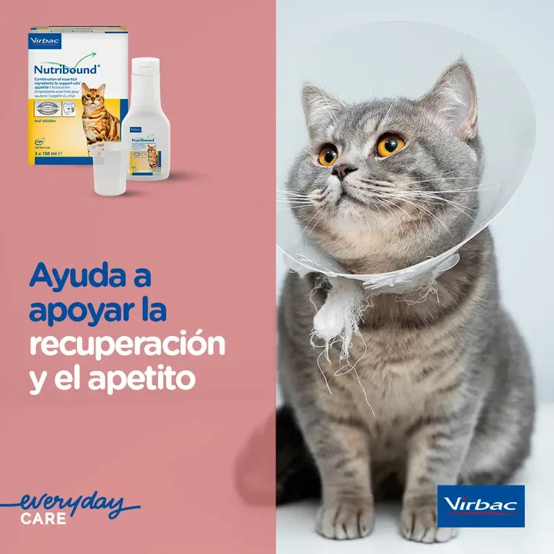 Virbac Nutribound Katzen Box 3 x 150 ml