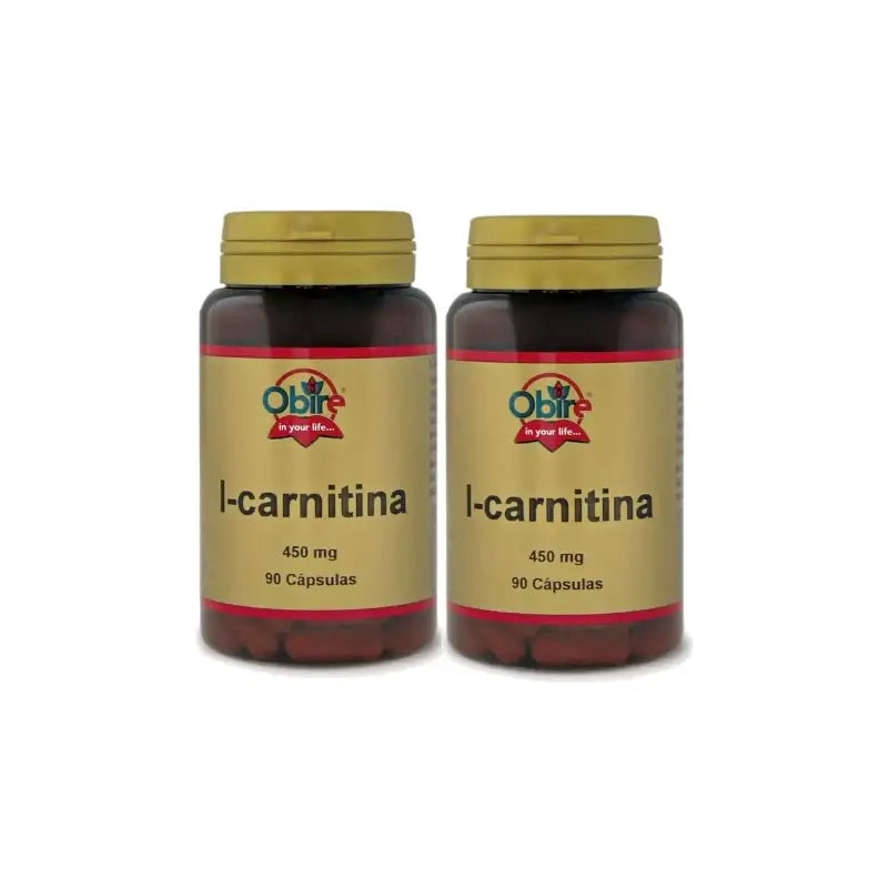 Obire L-Carnitin, Packung mit 2 x 90 Kapseln