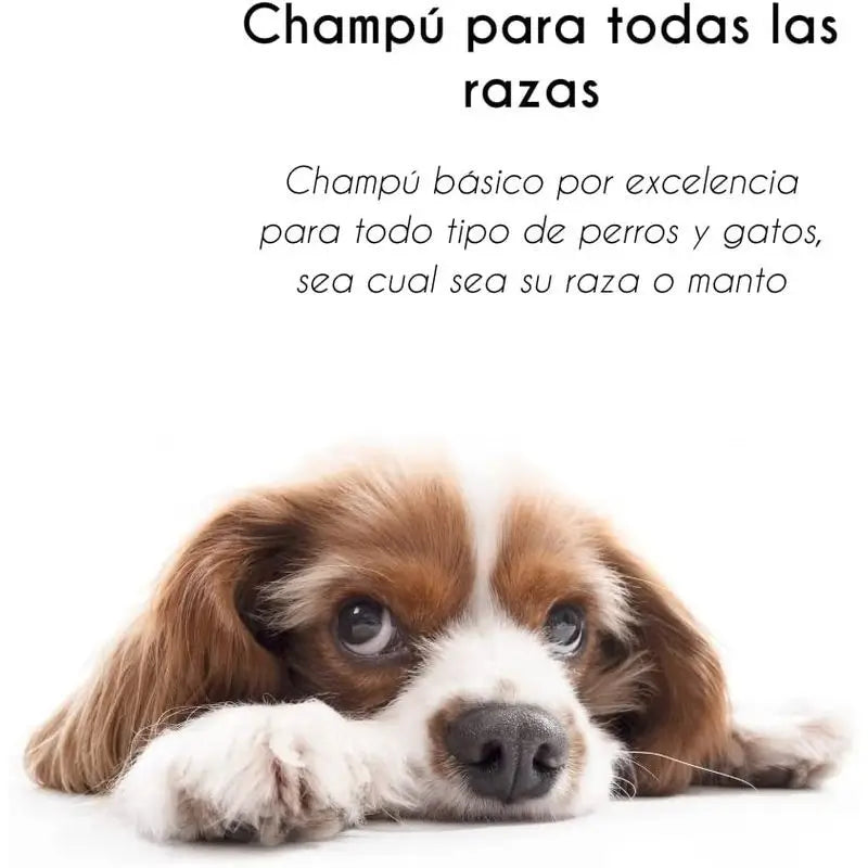 Petuxe All Breeds Pack (Shampoo + Maske + Conditioner)