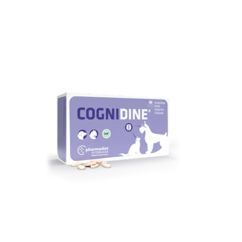 Cognidin, 60 Tabletten