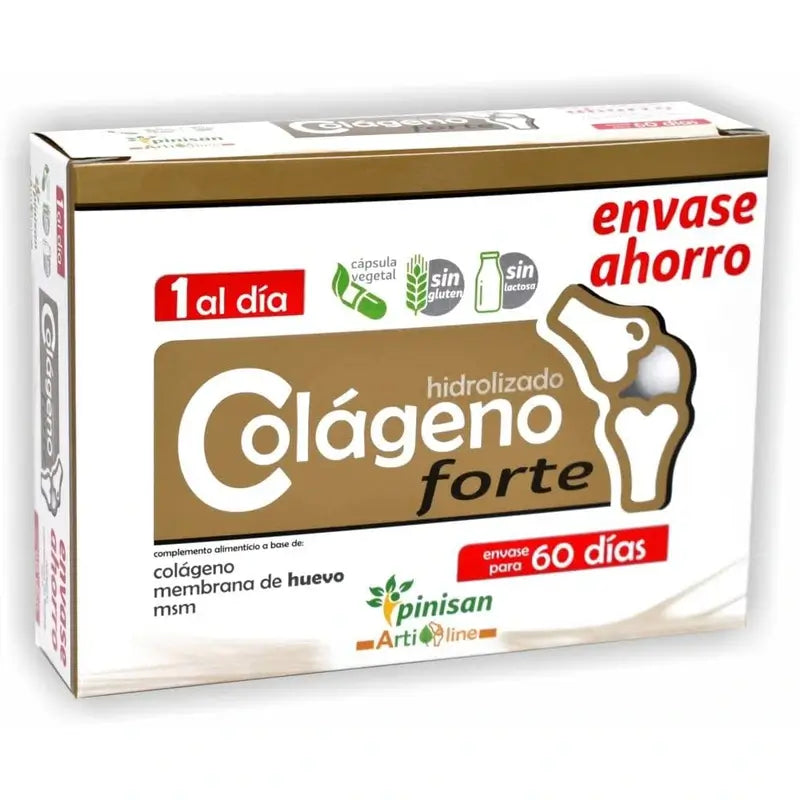 Pinisan Kollagen Forte , 60 Kapseln