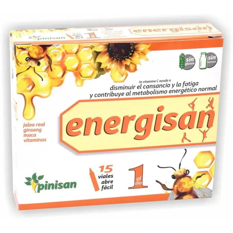 Pinisan Energisan 15Flaschen