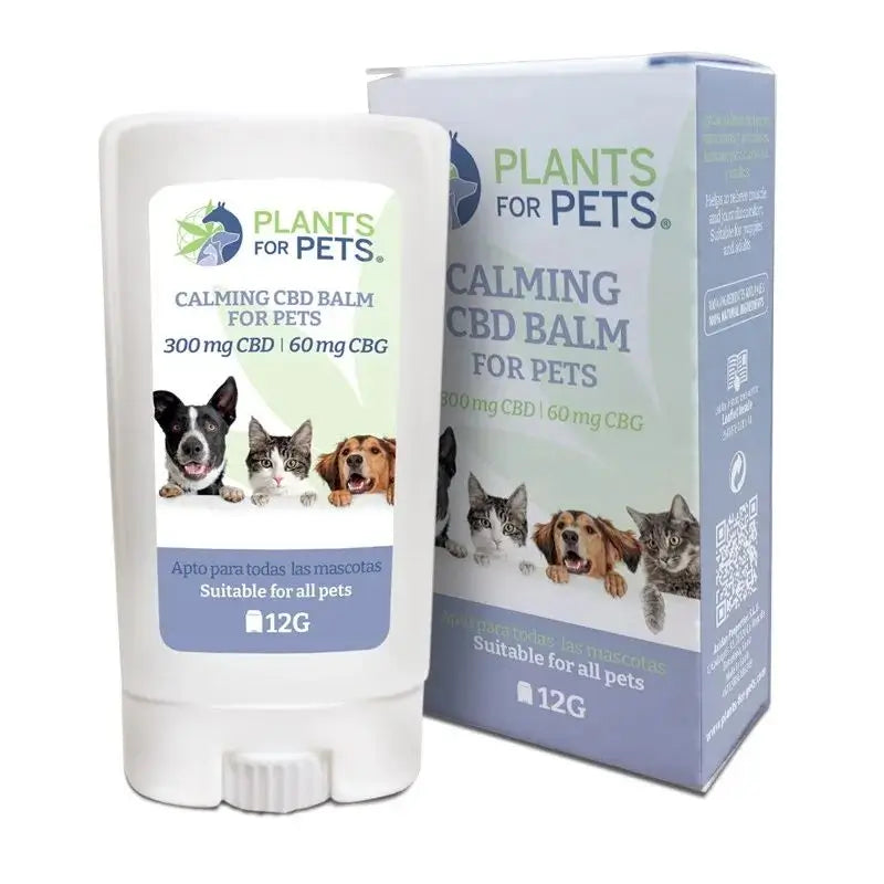 Plants For Pets Haustiere Beruhigende Stick , 12 gr