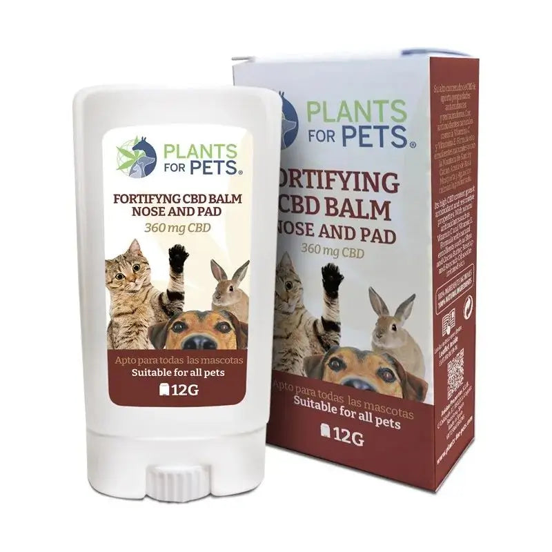 Pflanzen für Haustiere Pets Fortifying Stick , 12 gr