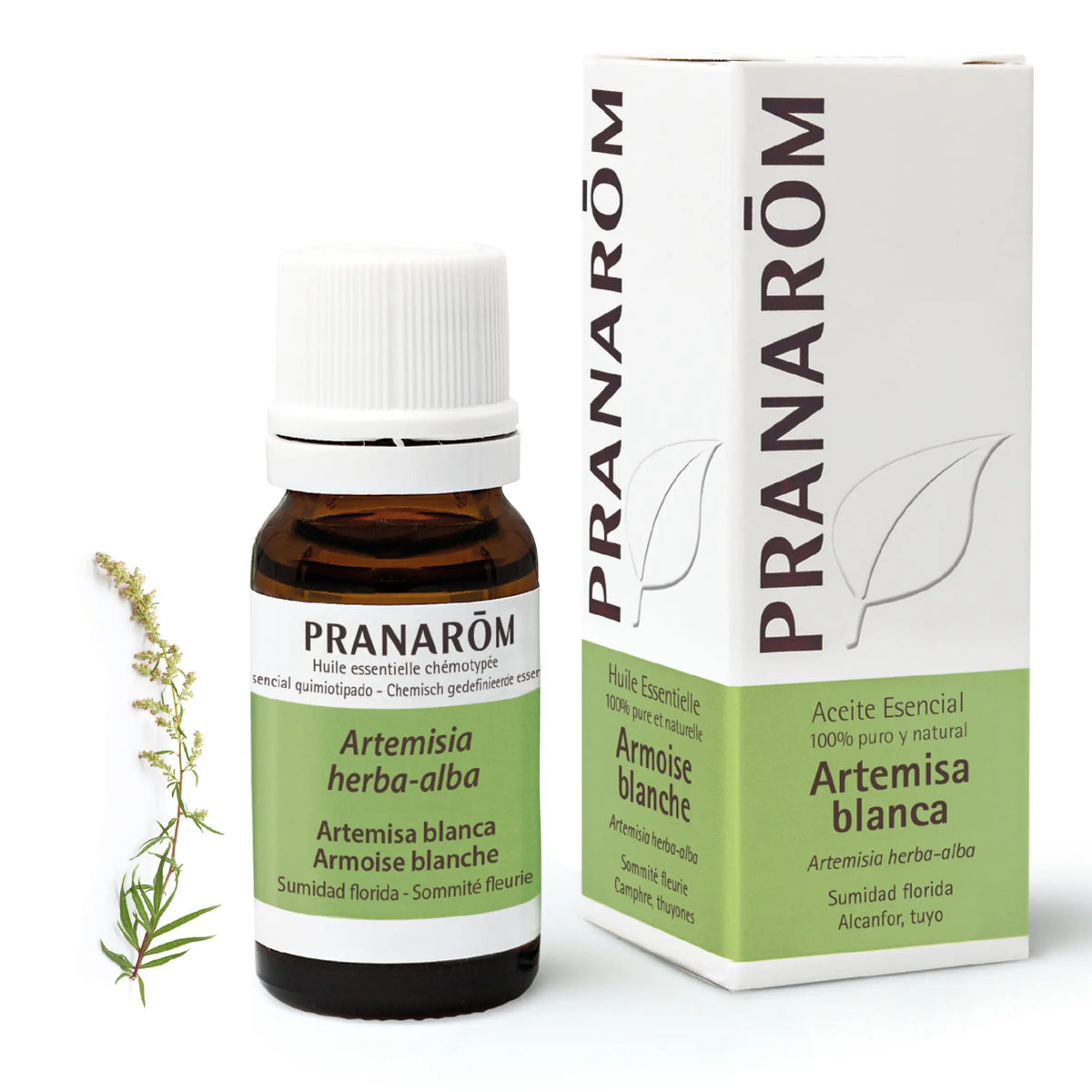 Pranarom Essential Oil White Mugwort, 10ml