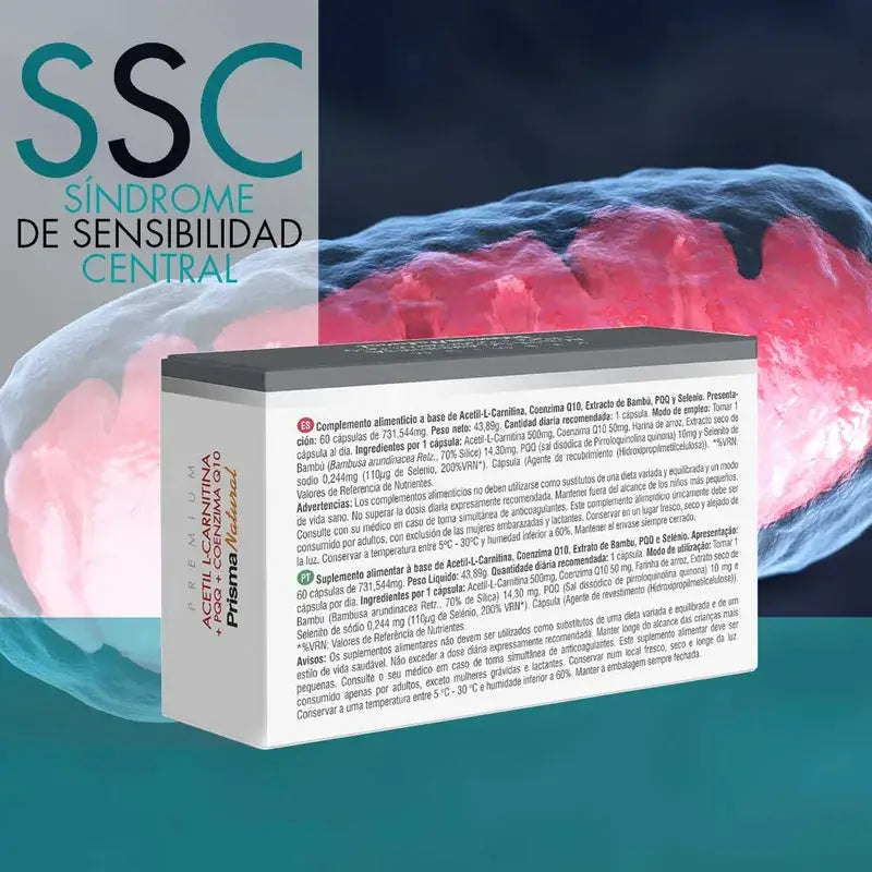 Prisma Premium Acetyl L-Carnitin+Pqq+Coenzym Q10, 60 Kapseln