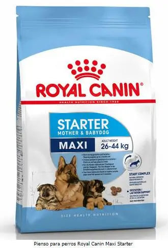 Royal Canin Starter Maxi 15kg, dog food for dogs