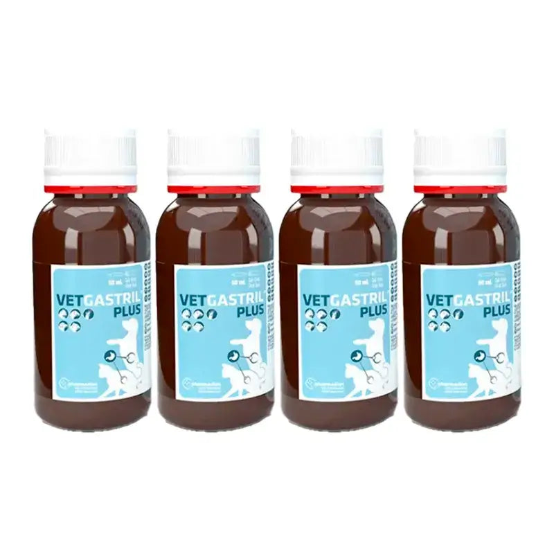 Vetgastril Plus Magenschutz für Hunde und Katzen, Packung 4 x 50 ml