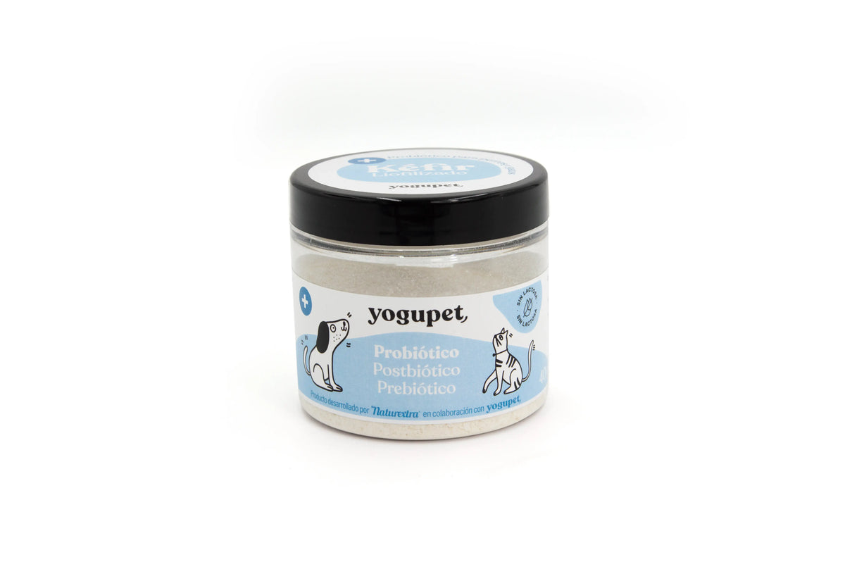 Yogupet Kefir Lyophilisiert Prob. Postbiotisch Präbiotisch 40Ml