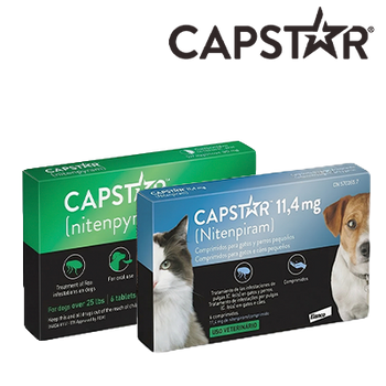 ELANCO - CAPSTAR ANTIPARASITÄR (31 JULI 2026)