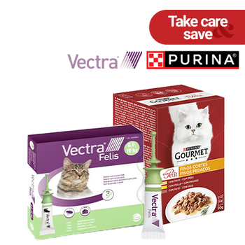REBAJAS - VERANO - CEVA - VECTRA FELIS REGALO COMIDA HÚMEDA PURINA GOURMET ANTIPARASITARIOS (31 AGOSTO 2026)