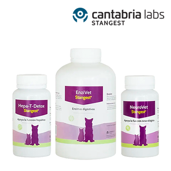 CANTABRIADAYS - STANGEST - DIGESTIVO, URINARIO Y DEFENSAS 15% (28 JUNIO 2026)