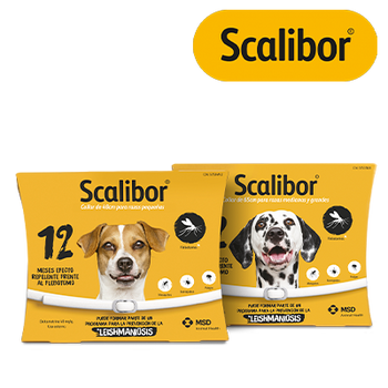 - VERANO - SCALIBOR ANTIPARASITARIOS (31 JULIO 2026)