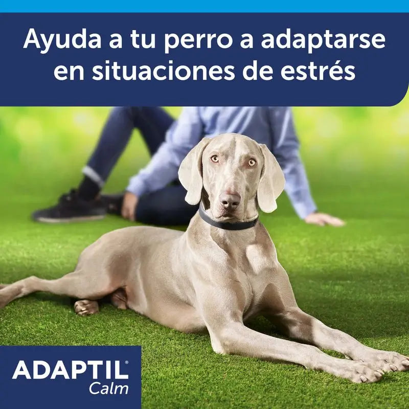 Ceva Halsband Adaptil 70 cm Pheromone Anti-Stress-Halsband