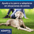 Ceva Halsband Adaptil 70 cm Pheromone Anti-Stress-Halsband