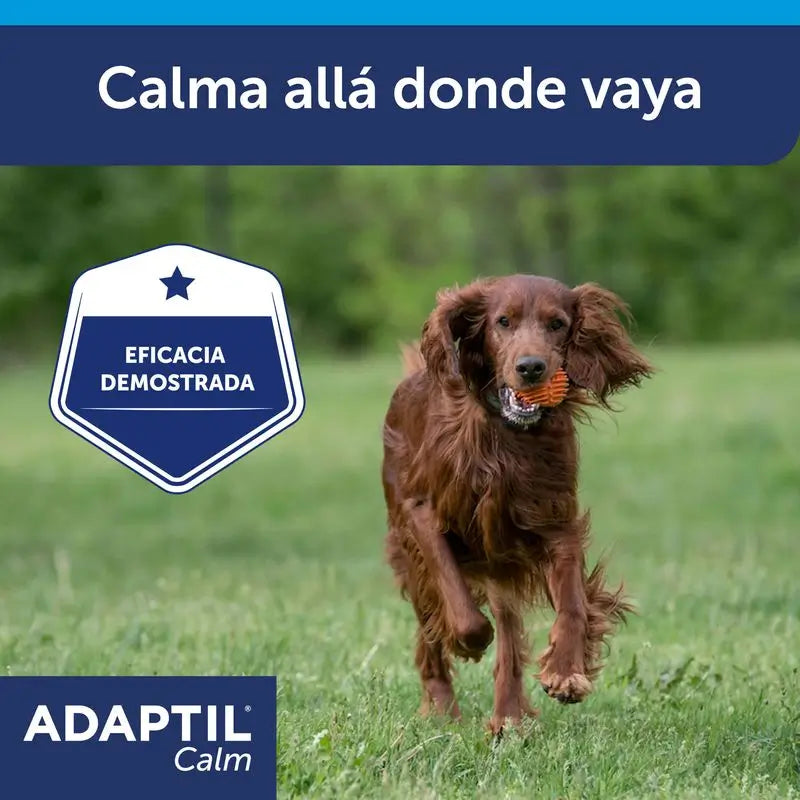 Ceva Halsband Adaptil 70 cm Pheromone Anti-Stress-Halsband