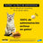 Adtab 48Mg Kautabletten Katzen 2-8Kg, 2 Tabletten