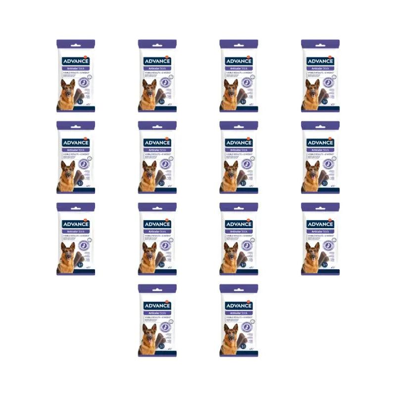 Advance Articular Stick, 155 g, 14er-Packung