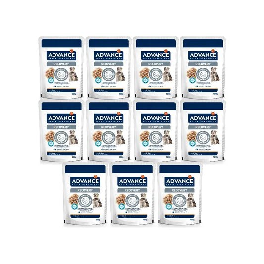 Advance Nassfutter für Haustiere, mit Nassfutter, Einzelportionen, 11 x 100 g
