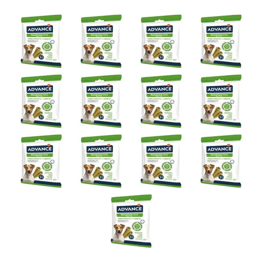 Advance Dental Care Mini, 90 g, 13er-Packung