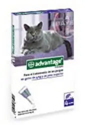 Advantage Cat 80 mg Cat +4Kg 4Pip