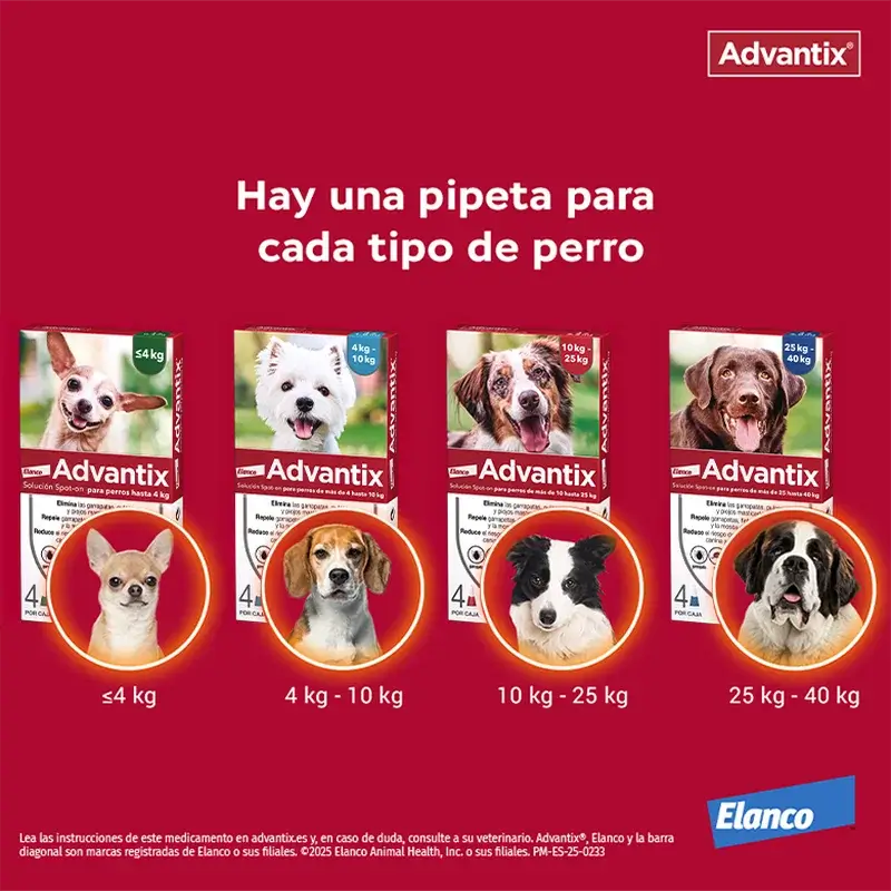 Advantix 24 Pipetten 1,0 ml 4-10Kg