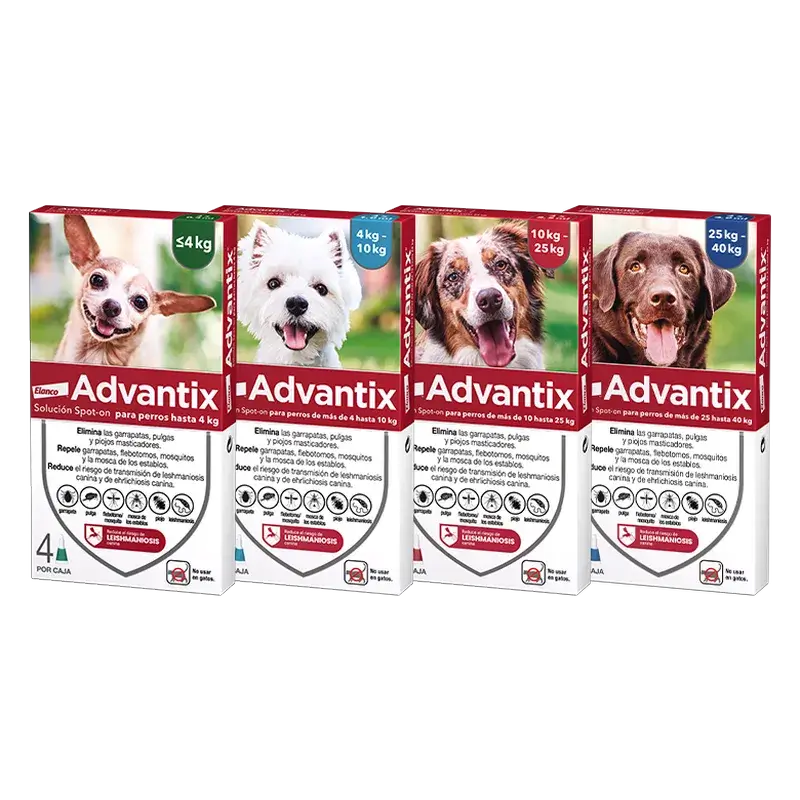 Advantix Antiparasitische Pipetten für Hunde von 4 bis 10 Kg 4 Einheiten X 1 Ml