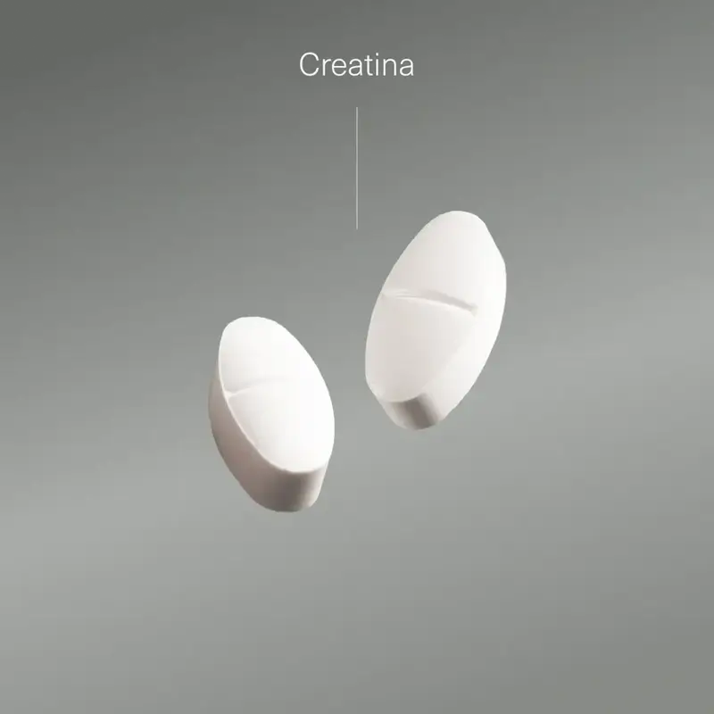 Aldous Bio Kreatin Monohydrat , 200 Tabletten