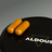 Aldous Bio Kurkuma mit Ingwer und schwarzem Pfeffer mit Probiotika, 2X250 Kapseln