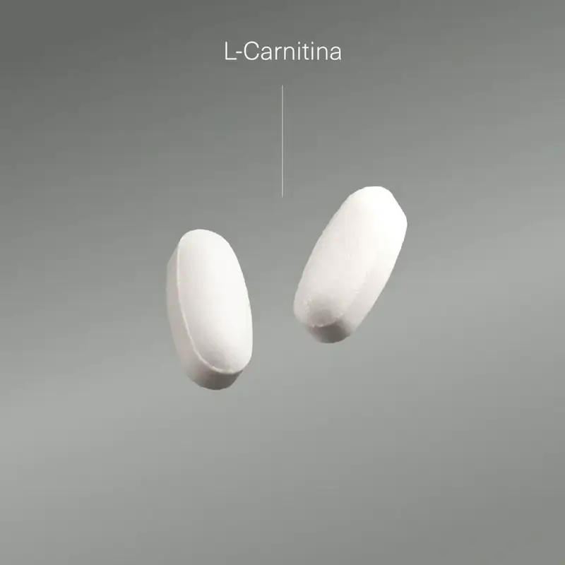 Aldous Bio Bio L Carnitin 2000Mg Pre Workout & Muskel Erholung Ergänzung, 200 Tabletten
