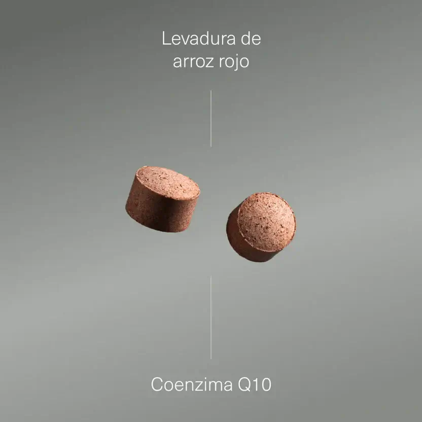 Aldous Bio Aldous Roter Hefereis mit Coenzym Q10, 400 Tabletten