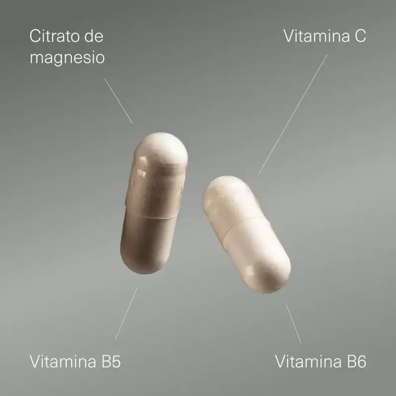 Aldous Labs Nahrungsergänzungsmittel Magnesium mit Vitamin C, B5 und B6, 200 Kapseln