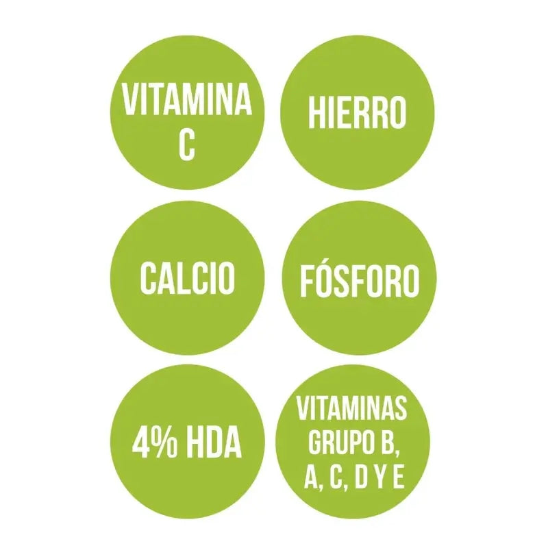 Ana Maria Lajusticia Gelée Royale mit Vitamin C 60Cap.