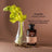 APIVITA Anti Dry Dandruff Shampoo mit Sellerie & Propolis 250 ml