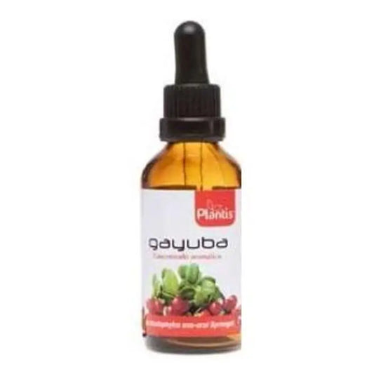 Artesania Ext.Gayuba 50Ml Maese Herbario